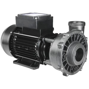 ΑΝΤΛΙΑ ΥΔΡΟΜΑΣΑΖ WATERWAY EXECUTIVE 2-SPEED PUMP 230V