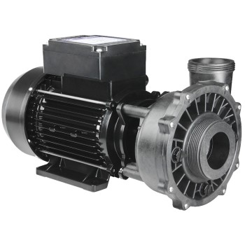 ΑΝΤΛΙΑ ΥΔΡΟΜΑΣΑΖ WATERWAY EXECUTIVE 2-SPEED PUMP 230V
