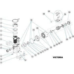 ΑΝΤΑΛΛΑΚΤΙΚΑ ΑΝΤΛΙΑΣ VICTORIA ASTRALPOOL